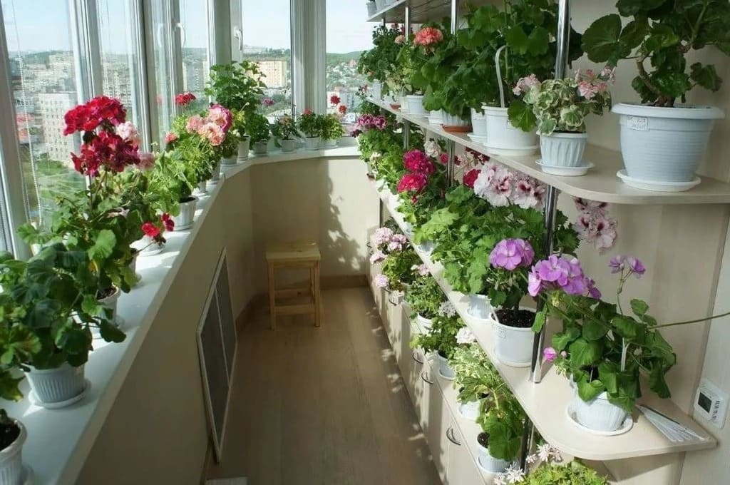 Как озеленить балкон или террасу: 10 потрясающих вариантов
