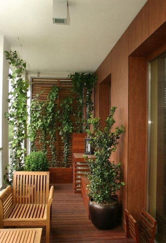 зимний сад на балконе в квартире